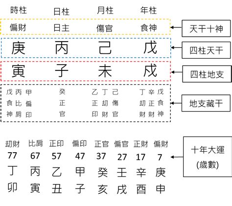 盆栽有螺 八字大運怎麼看